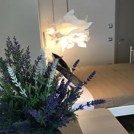 Bed & Breakfast Quasi In Centro